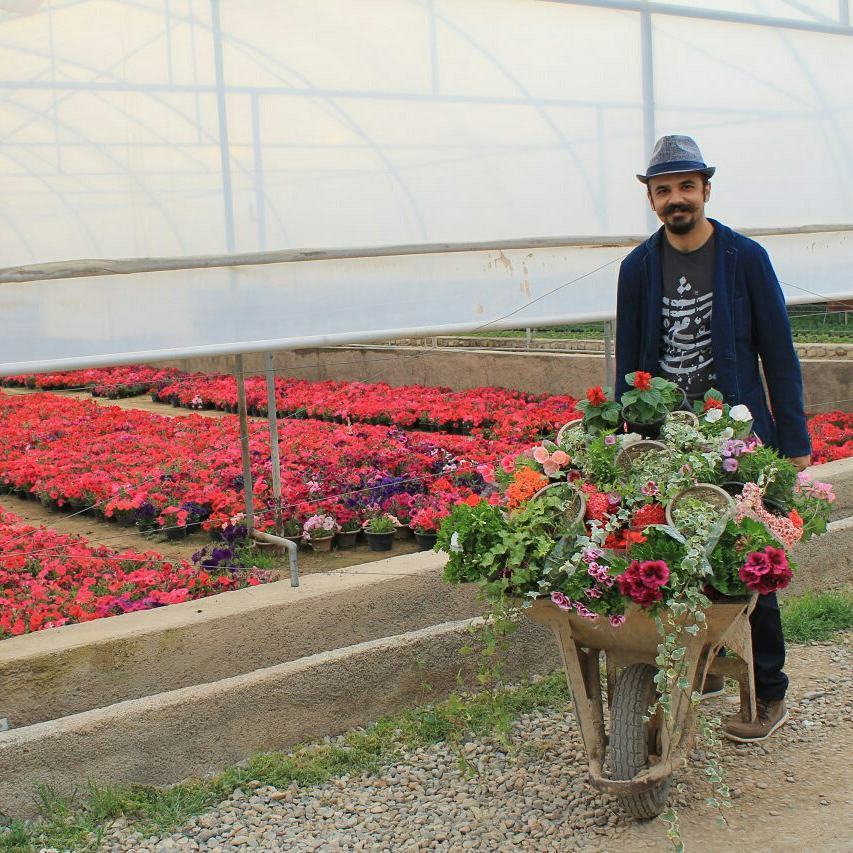 Davoud Shirazi loves nature and flowers